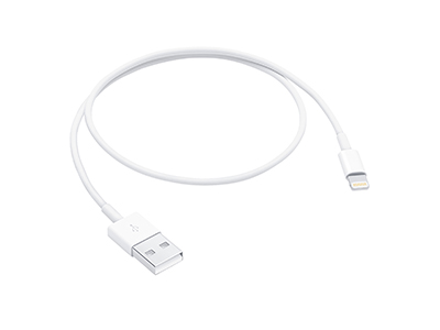 Apple iPad 5a Generazione Model n: A1822-A1823 - ME291ZM/A Lightning to USB data cable 0,5m