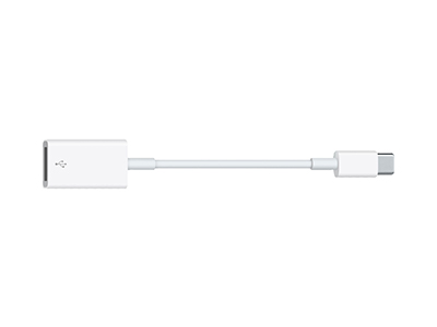 Apple iPad Pro 11'' Model n: A1980-A1934-A2013 - MJ1M2ZM/A Adapter Usb Type-C to USB-A