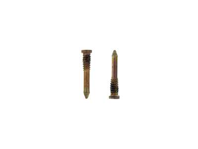 Apple iPhone 12 Pro - Charger Connector Screw Kit 2 pcs Gold