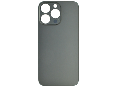 Apple iPhone 13 Pro - Black Back Cover Glass 